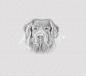 Preview: Magnet-Nummern-Halter Nova-Scotia-Duck-Tolling-Retriever