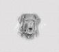 Preview: Magnet-Nummern-Halter curly-coated Retriever