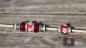 Preview: Showleine mit Feststellhalsung und Perlen 4mm