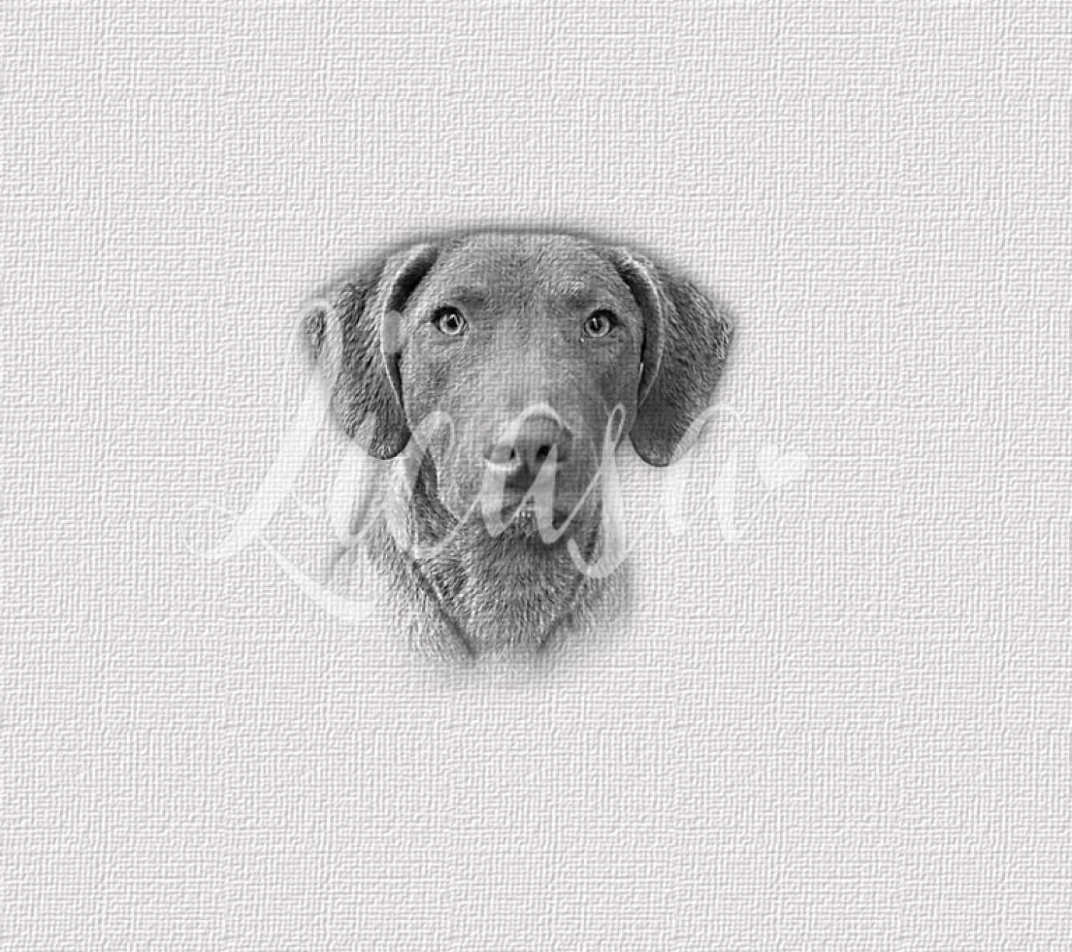 Magnet-Nummern-Halter Chesapeake-Bay-Retriever