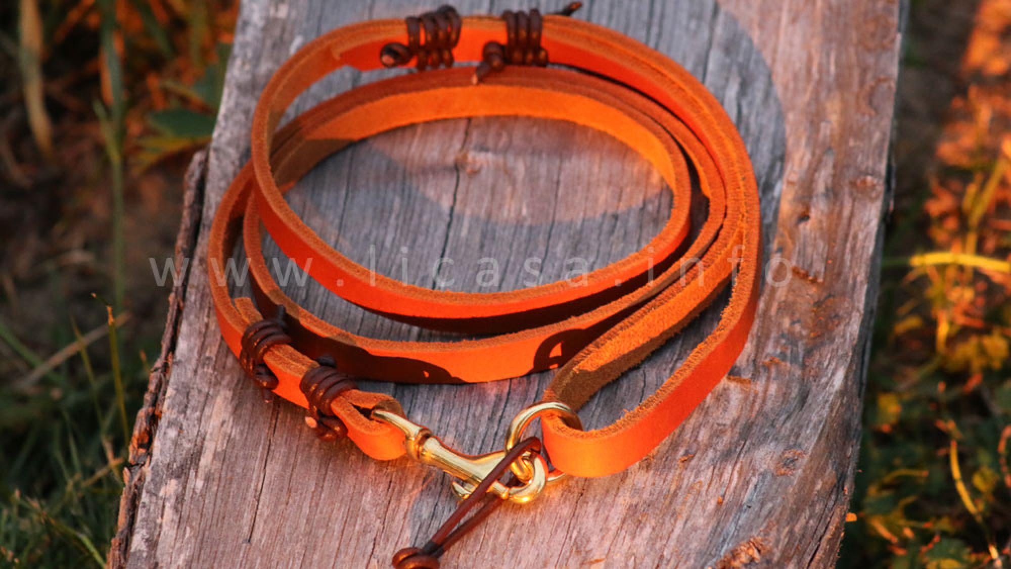 Leine nicht längenverstellbar