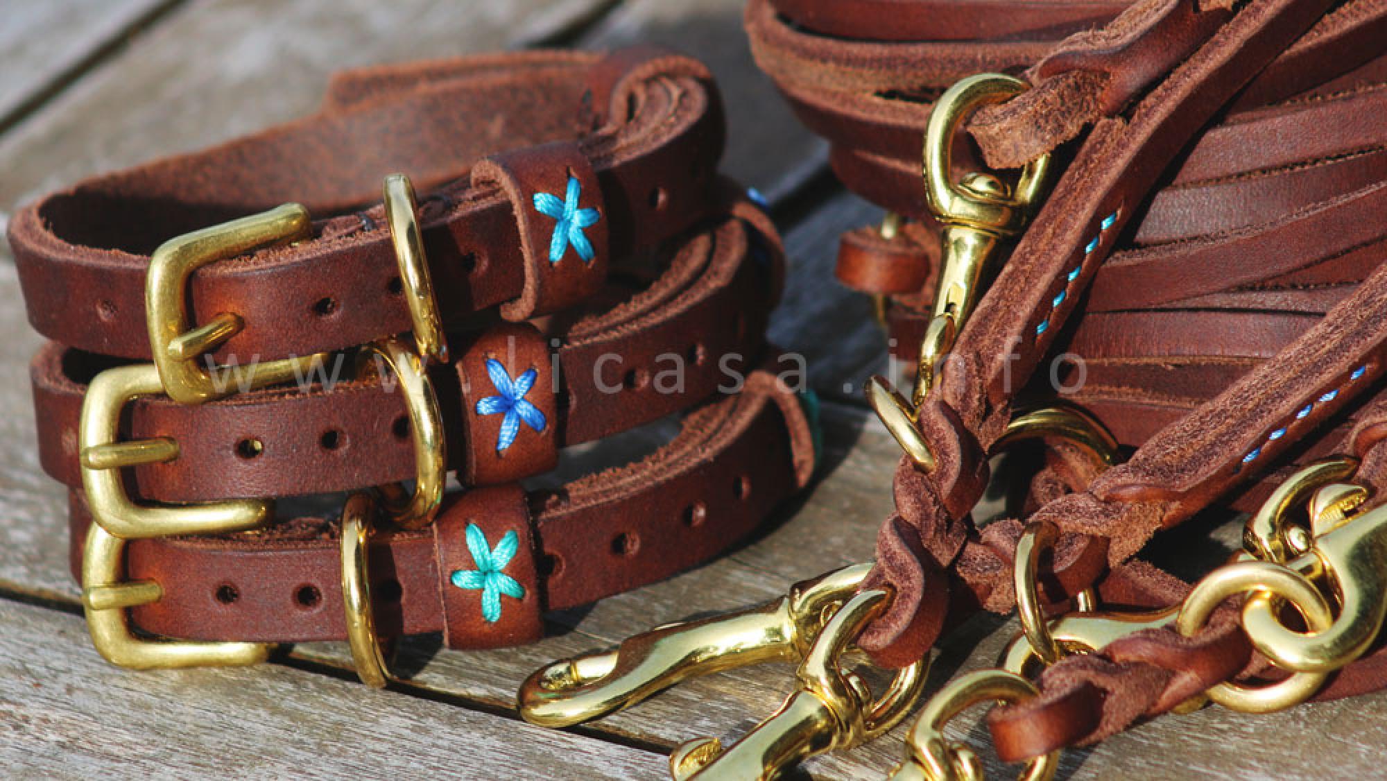 Welpenhalsband Welpenleine